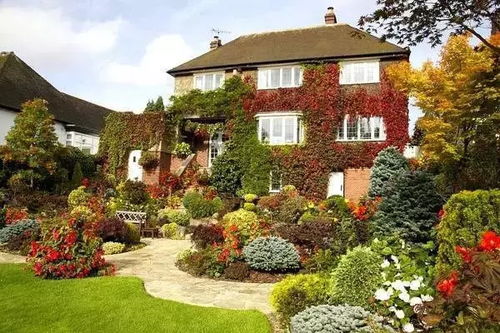 園林植物景觀設計之配置方法微教程